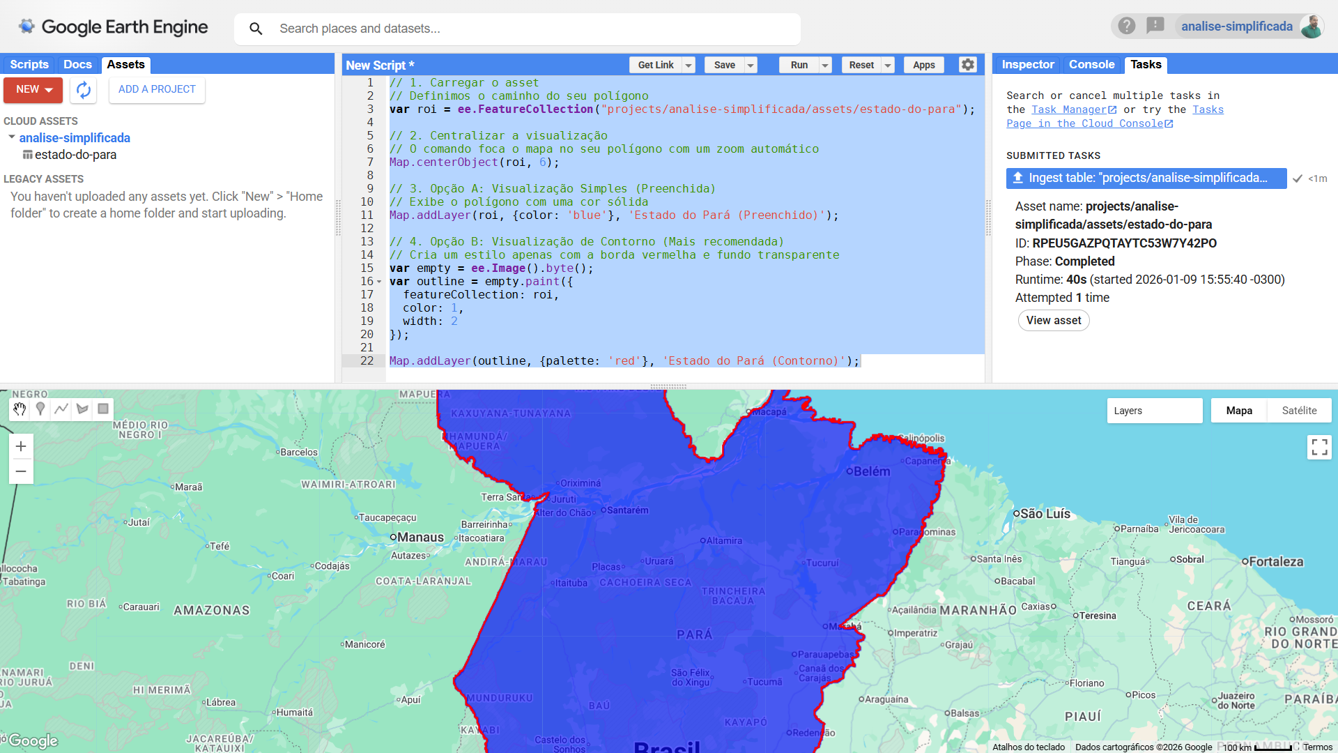 Primeiros Passos no Google Earth Engine